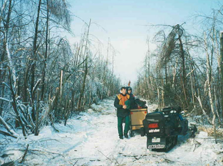 Club de motoneige Alleghanish Bois-Francs